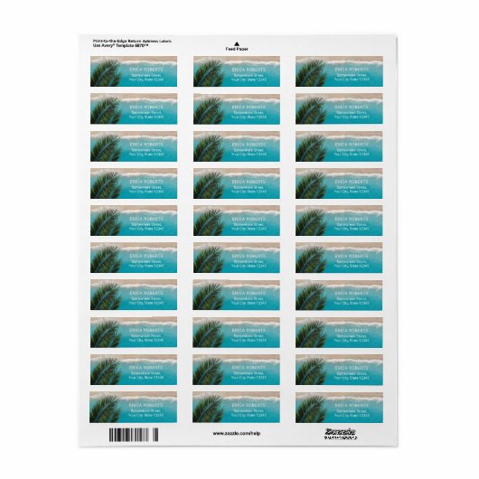 Tropical Palm Tree & Beach (Vorne)