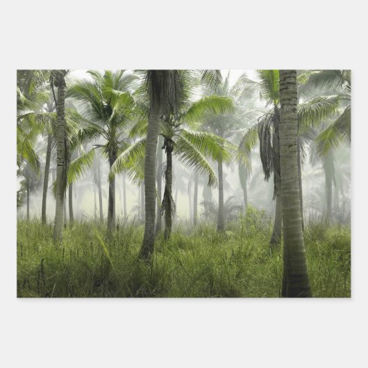 Tropical Palm Tree Forest Geschenkpapier Set (Vorderseite 3)