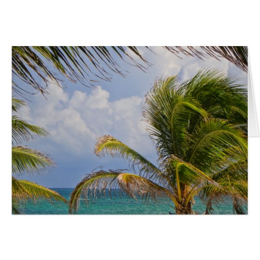 Tropical Palm Tree Gerahmt (Vorderseite (Horizontal))