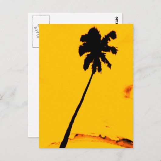 Tropical Palm Tree Postkarte (Vorne/Hinten)
