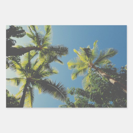 Tropical Palm Tree Sommer Vibe Green Blue Sky Geschenkpapier Set (Vorderseite 3)