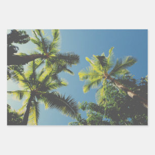 Tropical Palm Tree Sommer Vibe Green Blue Sky Geschenkpapier Set