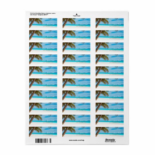 Tropical Palm Tree Summer Ocean Beach Zielort (Vorne)