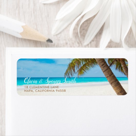 Tropical Palm Tree Summer Ocean Beach Zielort (Insitu)