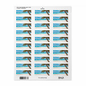 Tropical Palm Tree Summer Ocean Beach Zielort (Vorne)