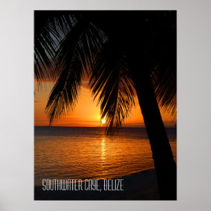 Tropical Palm Tree Sunset in Belize Poster