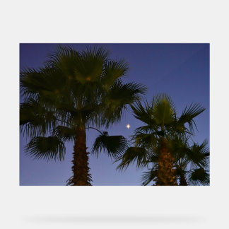 Tropical Palm Tree Wall Art Twilight Coastal Acrylschild