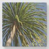Tropical Palm Tree Windblown Natural Steinuntersetzer (Vorderseite)