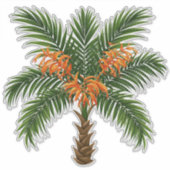 Tropical Palm Tree With Bright Orange Flowers Aufkleber (Vorderseite)