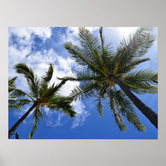 Tropical Palm Trees Foto Poster (Vorne)