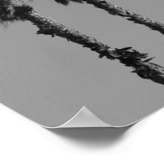 Tropical Palm Trees Poster, Print Poster (Ecke)