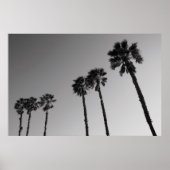 Tropical Palm Trees Poster, Print Poster (Vorne)
