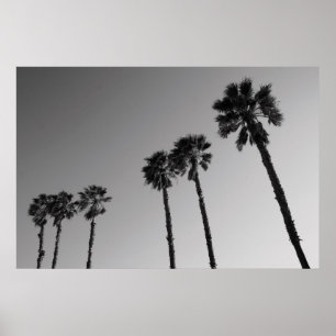 Tropical Palm Trees Poster, Print Poster