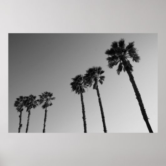 Tropical Palm Trees Poster, Print Poster (Vorne)