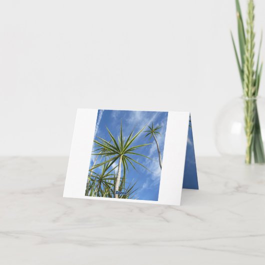 Tropical Palm Trees Twain Zitat (Rückseite)