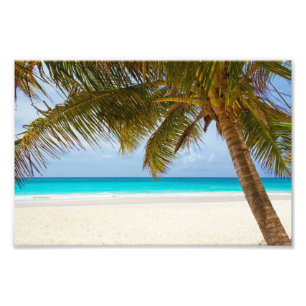 Tropical Paradise Beach Fotodruck