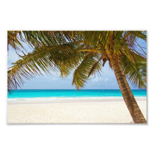 Tropical Paradise Beach Fotodruck (Vorne)