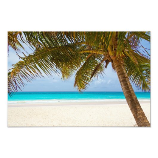 Tropical Paradise Beach Fotodruck (Vorne)