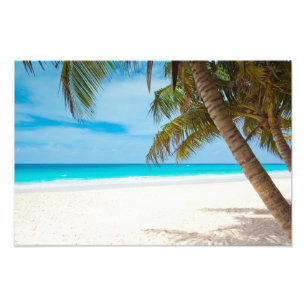 Tropical Paradise Beach Fotodruck