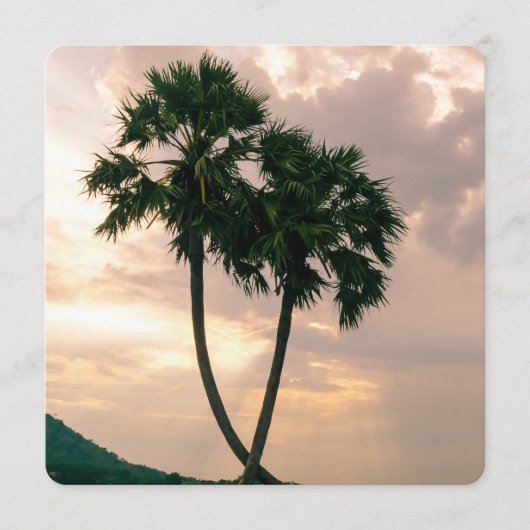 Tropical Paradise Beach Palm Destiny Destiny's (Vorderseite)
