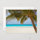 Tropical Paradise Beach Postkarte (Vorne/Hinten)