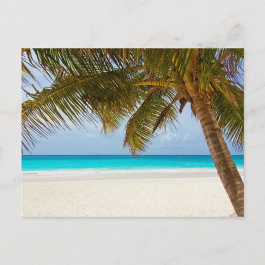 Tropical Paradise Beach Postkarte (Vorderseite)