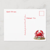 Tropical Paradise | Coastal Keeping in Touch Postkarte (Rückseite)