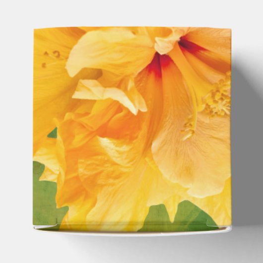 Tropical Paradise Fevor Box Geschenkschachtel (Oben)