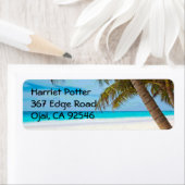 Tropical Paradise Fine Beach Palm Trees (Insitu)