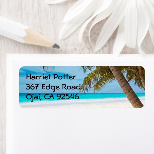 Tropical Paradise Fine Beach Palm Trees (Insitu)