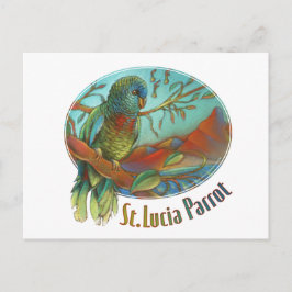 Tropical Parrot of St. Lucia Postkarte