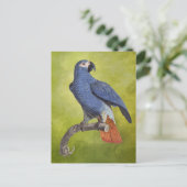 Tropical Parrot Vintag Illustration Postkarte (Stehend Vorderseite)