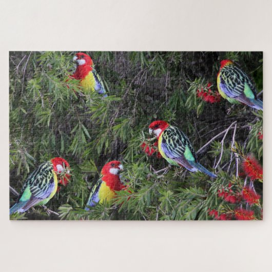 Tropical Parrots Eastern Rosella Birds Puzzle (Horizontal)