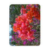 Tropical Pink Bougainvillea Island Floral Magnet (Vertikal)