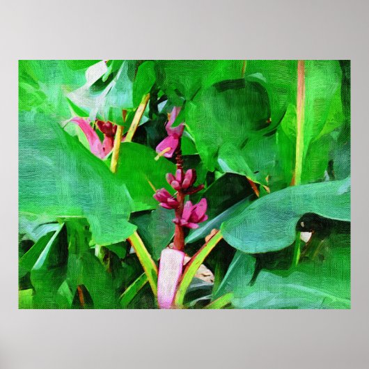 Tropical Pink velvet banana collection Poster (Vorne)