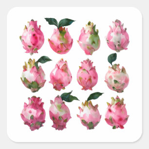 Tropical Pitaya Watercolor Art Quadratischer Aufkleber