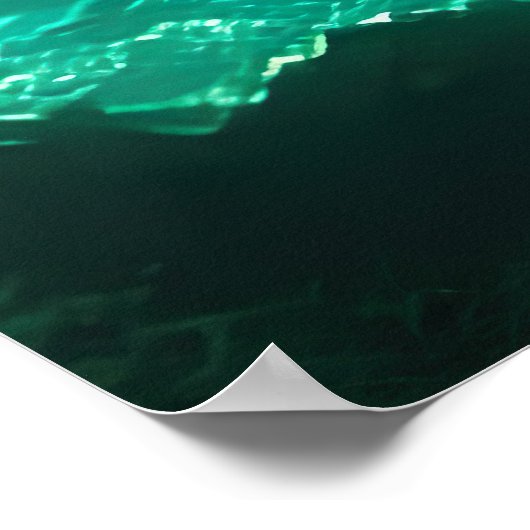 Tropical Predator: Great White Shark Poster (Ecke)