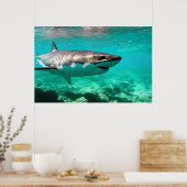 Tropical Predator: Great White Shark Poster (Küche)