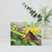 Tropical Queen Butterfly, FL - Postkarte (Stehend Vorderseite)