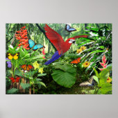 Tropical Rainforest Poster (Vorne)