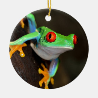 Tropical Red Eye Frog - Agalychnis Callidryas Keramikornament