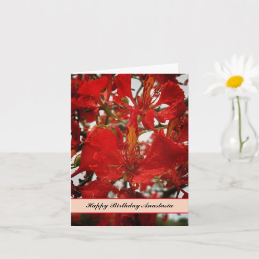 Tropical Red Flamboyant Blume Geburtstag Karte (Kleine Pflanze)