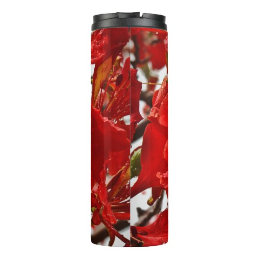 Tropical Red Floral Blume Elegantes Personal Thermosbecher (Rückseite)