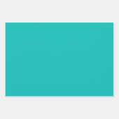 Tropical Robin Egg Blue Solid Color Geschenkpapier Set (Vorderseite 3)