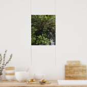 Tropical salt pond poster (Küche)
