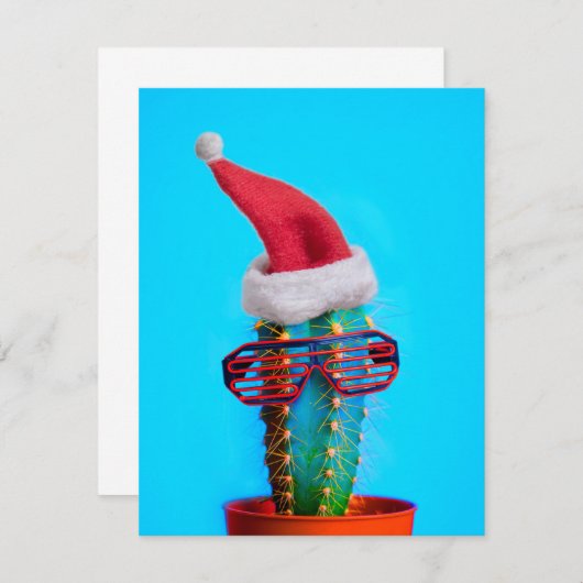 Tropical Santa Cactus (Vorne/Hinten)