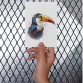Tropical Splendor Toucan Postkarte