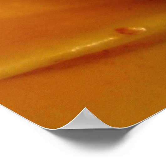 Tropical Star Fruit Poster (Ecke)