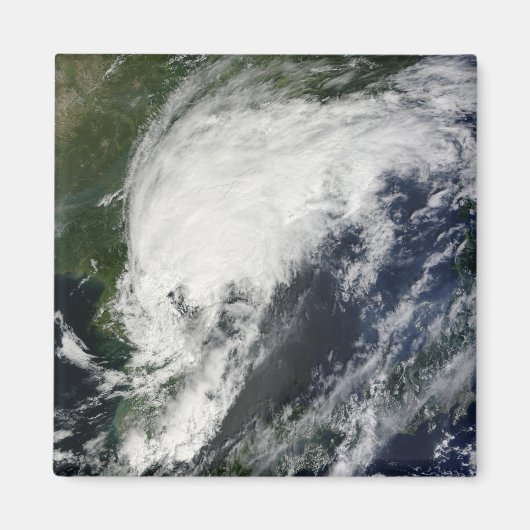 Tropical Storm Kompasu Magnet (Vorne)