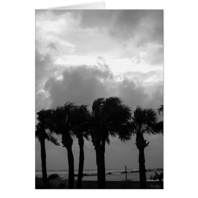 Tropical Stormy Skies Grayscale (Vorne)